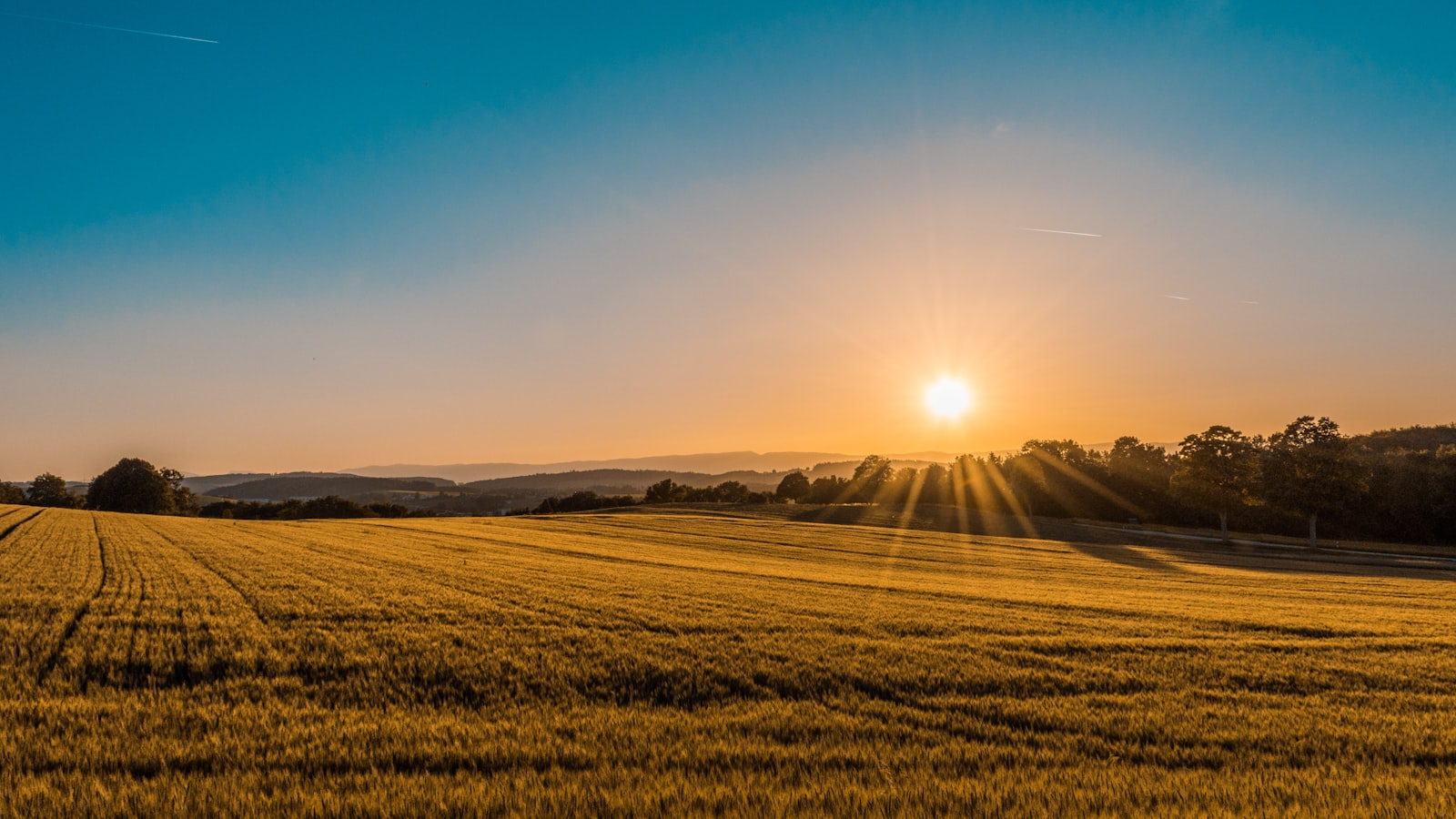 Sunrise over farmland